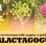 Naturopathic Pediatrics - Galactagogues to increase breast milk supply