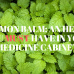 Lemon Balm - an herb you MUST have in your medicine cabinet. #Herbs. #Naturopathic.