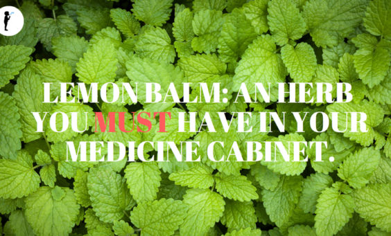 Lemon Balm - an herb you MUST have in your medicine cabinet. #Herbs. #Naturopathic.