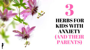 3 herbs for kids with anxiety (and their parents!) from Naturopathic Pediatrics