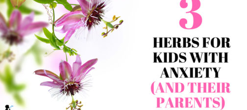 3 herbs for kids with anxiety (and their parents!) from Naturopathic Pediatrics