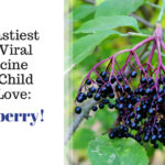 The tastiest anti-viral medicine your #child will love: #Elderberry! #Naturopathic