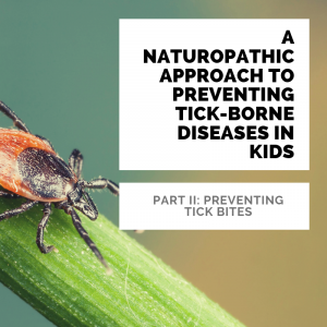 A #naturopathic approach to preventing tick-borne diseases in kids. Part II: preventing tick bites.