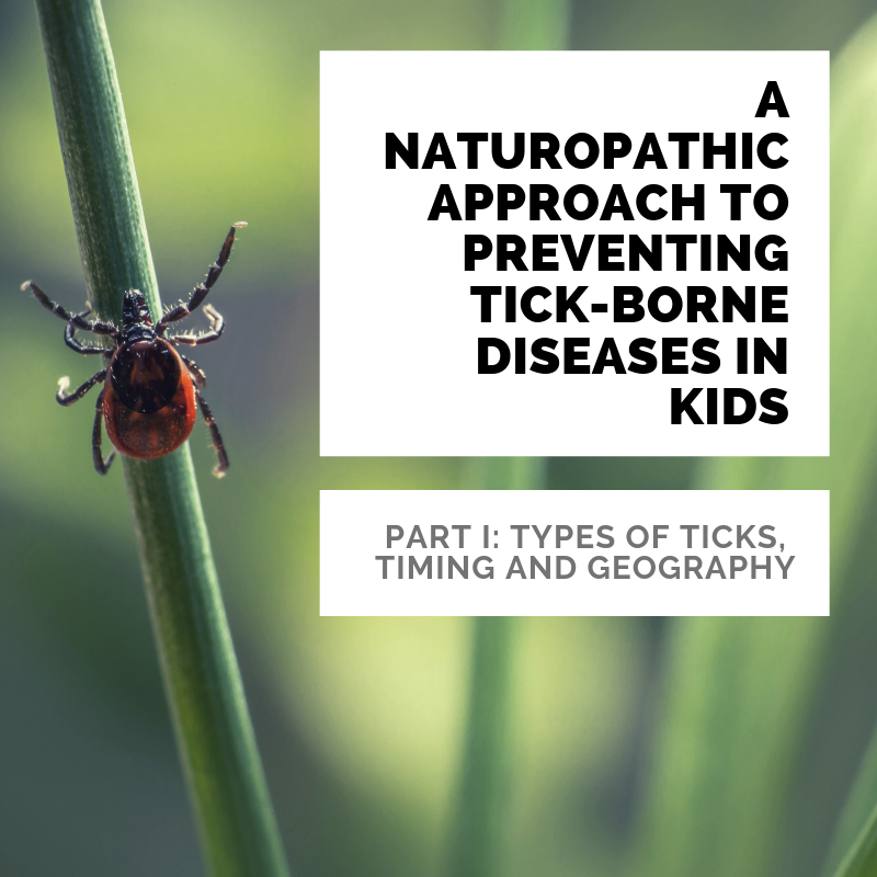 A #naturopathic approach to preventing tick-borne diseases in kids. 