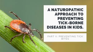 A naturopathic approach to preventing tick-borne diseases in kids