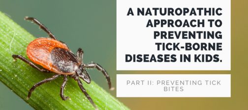 A naturopathic approach to preventing tick-borne diseases in kids